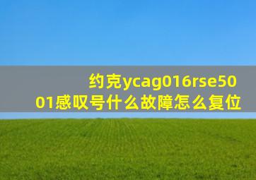 约克ycag016rse50 01感叹号什么故障怎么复位